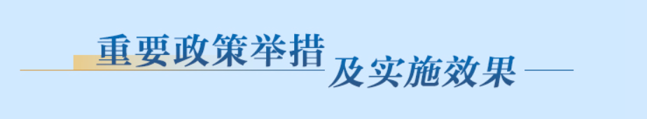 重要政策举措及实施效果